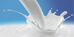 Latte, "Etichettatura obbligatoria valorizzerà al meglio nostre produzioni"